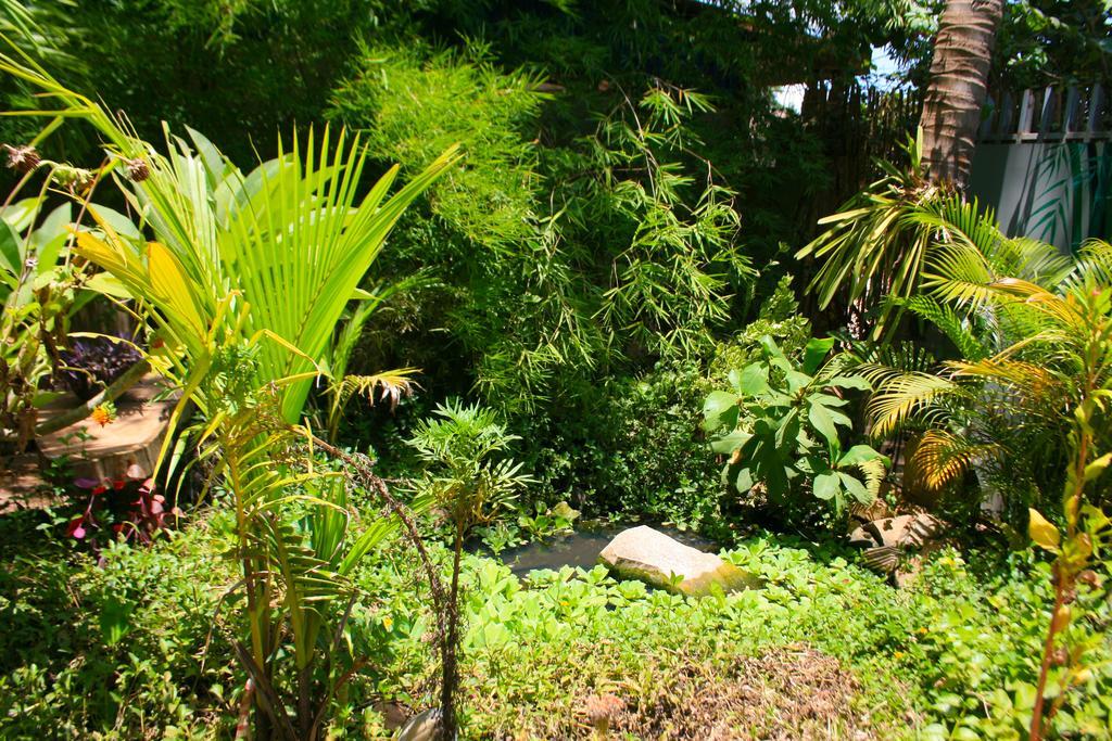Firefly Guesthouse - The Berlin Angkor Siem Reap Exterior foto