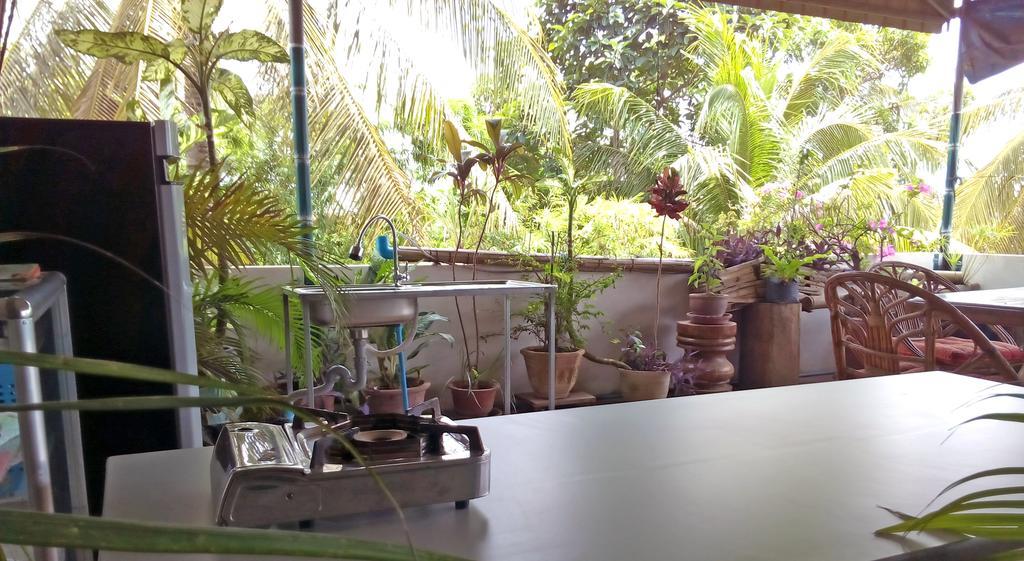 Firefly Guesthouse - The Berlin Angkor Siem Reap Exterior foto
