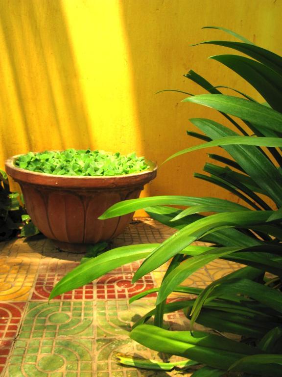 Firefly Guesthouse - The Berlin Angkor Siem Reap Exterior foto